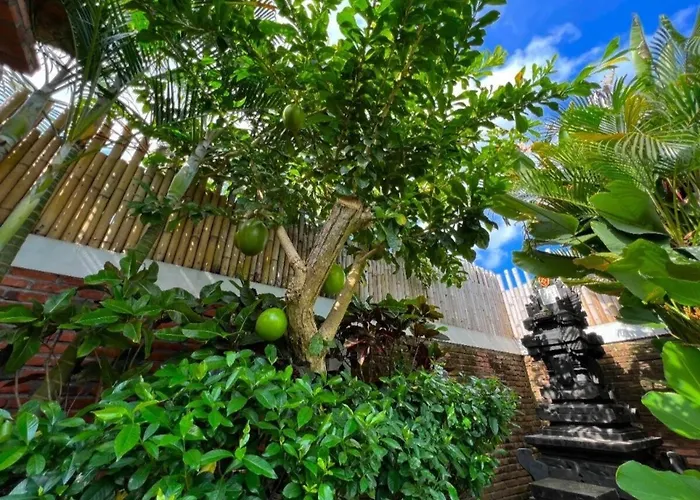 Guest house Stylish Tropical Barroso Shortcut